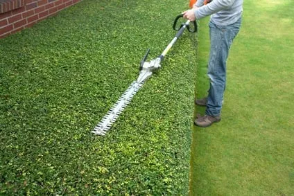 Affordable yard maintenance in Baton Rouge, LA by Gardens & Grounds