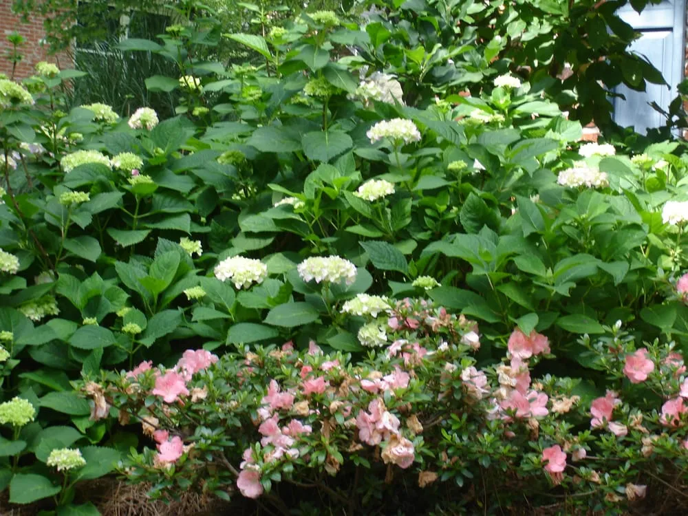 Top-rated landscape installation in Baton Rouge, LA - Gardens & Grounds