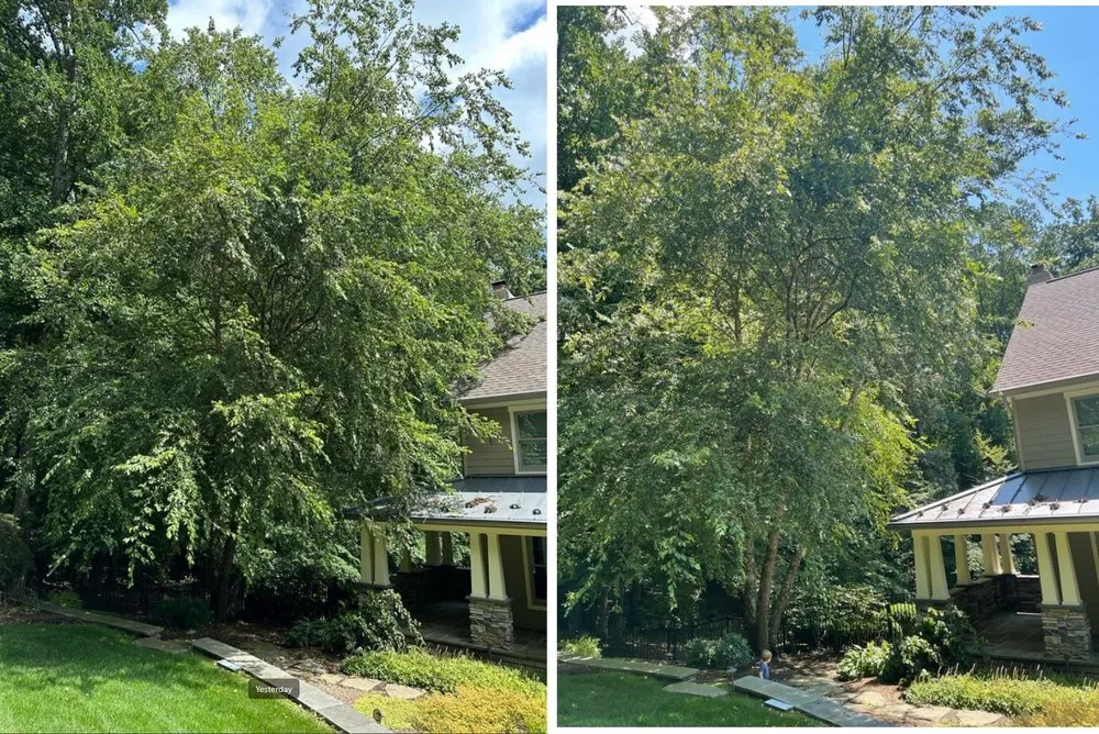 Top-rated landscape design for beautiful yards in Owings Mills, MD by Gardens & Trees Landscaping