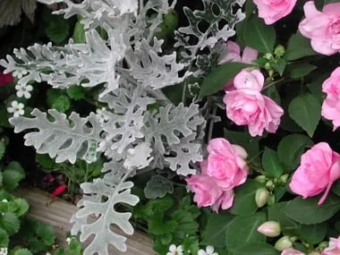 Trusted landscape installation near you in Needham, MA by Gardens 2 Go