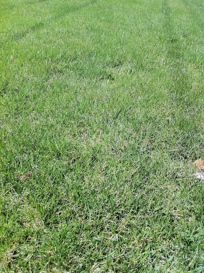 Custom yard maintenance experts serving Marlborough, MA - Gardens Are