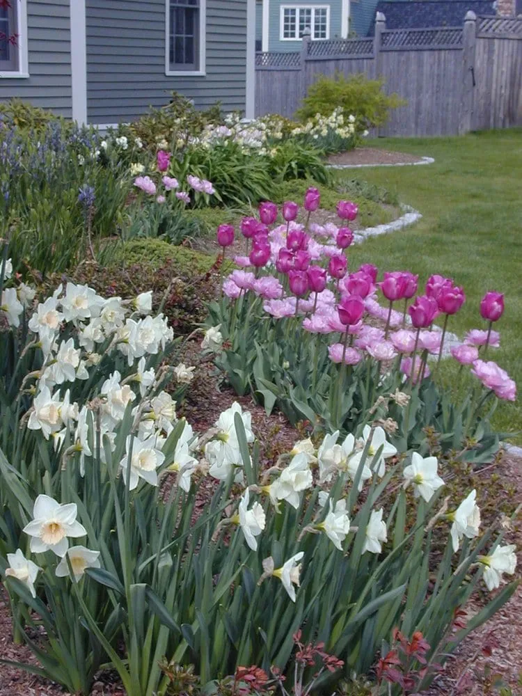 Top-rated landscape installation for year-round maintenance in Marlborough, MA by Gardens Are