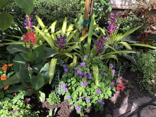 Gardens By Allison Logo