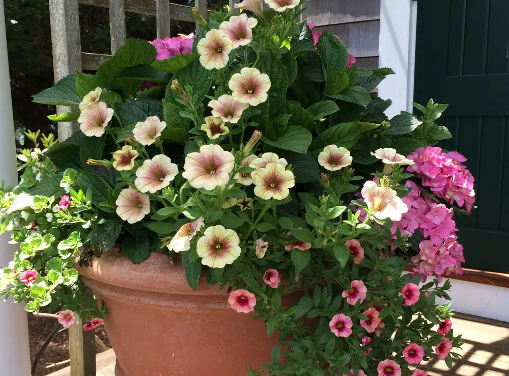 Reliable landscape design in East Falmouth, MA by Gardens By Barbara Conolly