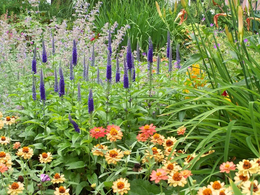 Custom residential landscaping for homes across East Falmouth, MA - Gardens By Barbara Conolly