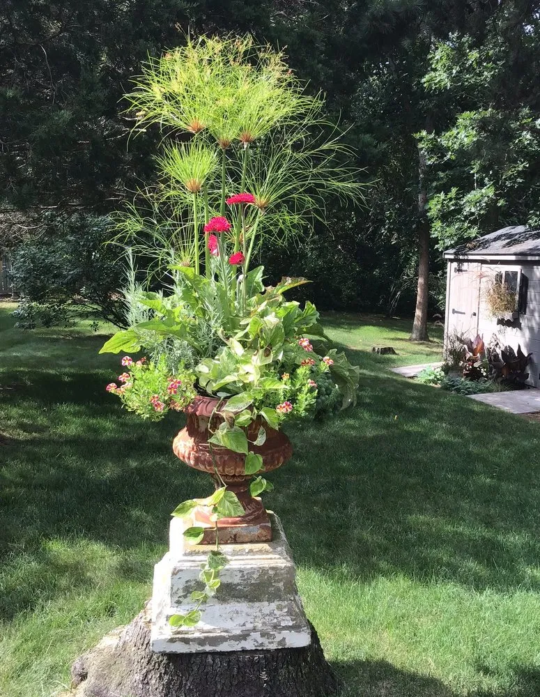 Affordable landscape design for outdoor upgrades in East Falmouth, MA by Gardens By Barbara Conolly