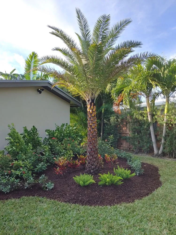 Trusted outdoor landscaping for beautiful yards across Lighthouse Point, FL - Gardens By Dan