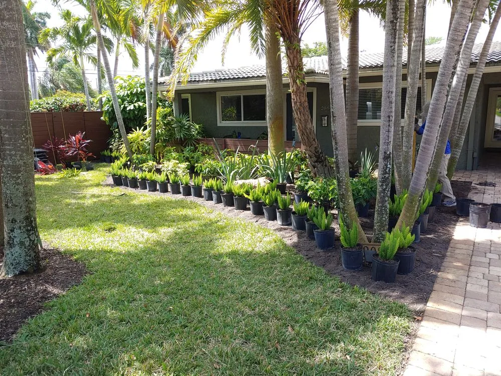 Affordable yard cleanup service in Lighthouse Point, FL by Gardens By Dan