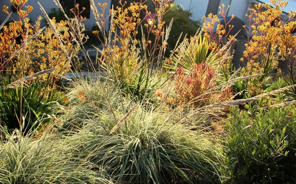 Trusted landscape installation for residential properties across Morro Bay, CA - Gardens by Gabriel