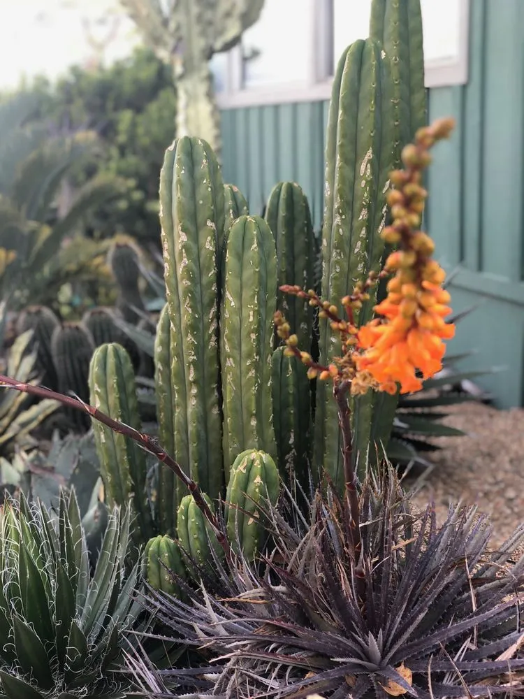 Reliable garden landscaping in Morro Bay, CA - Gardens by Gabriel