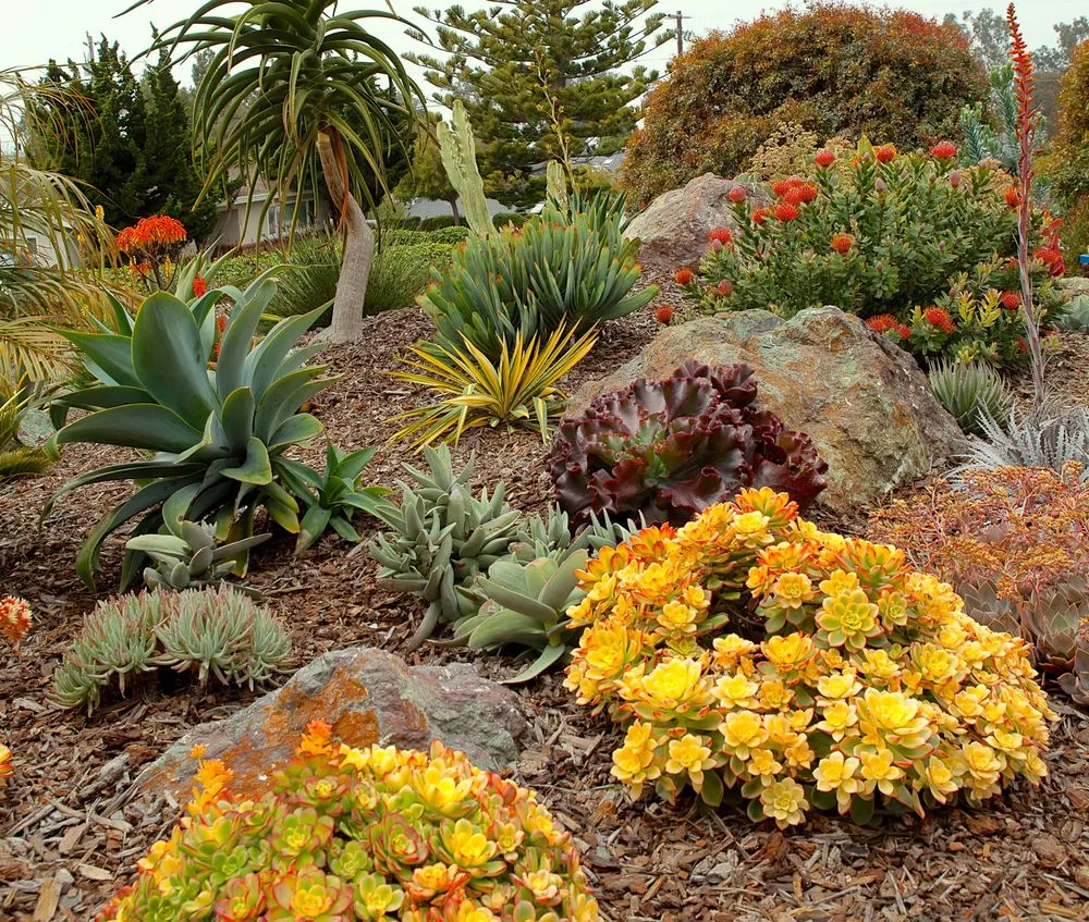 Expert landscape installation in Morro Bay, CA - Gardens by Gabriel