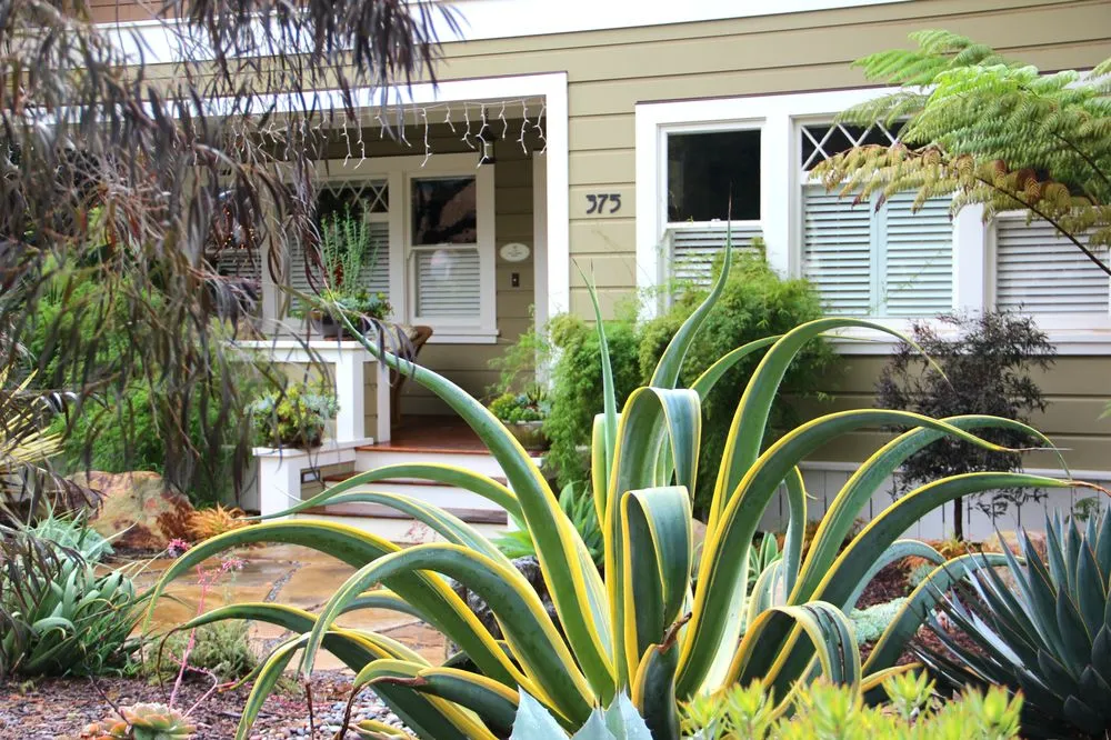 Reliable landscape design in Morro Bay, CA - Gardens by Gabriel
