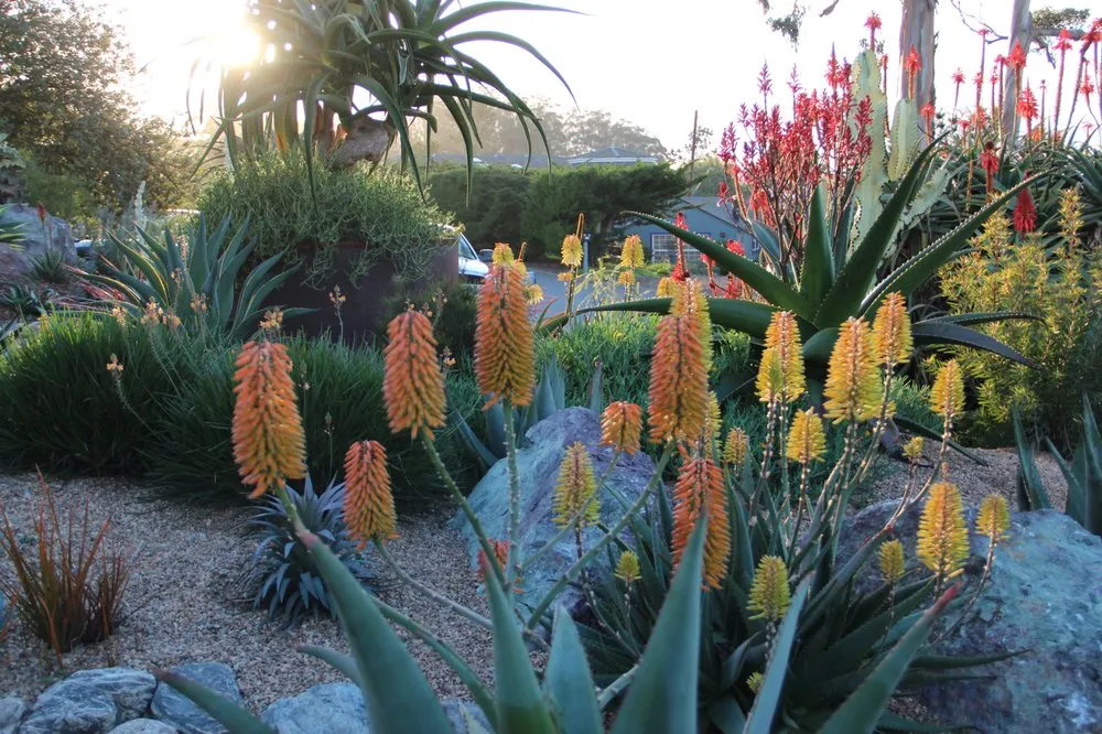 Custom garden landscaping experts serving Morro Bay, CA - Gardens by Gabriel