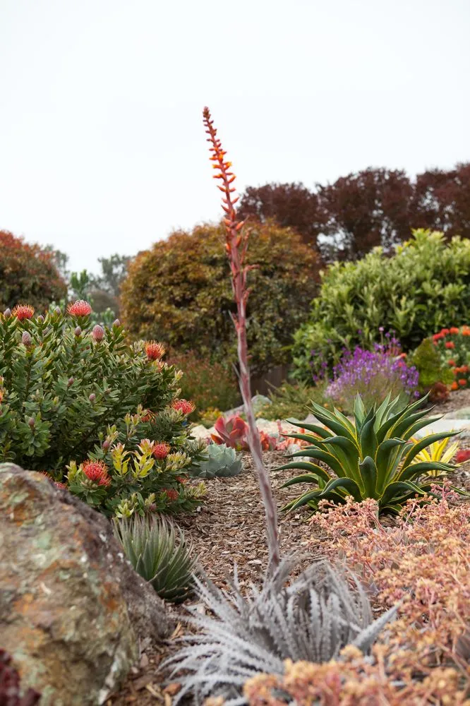Local lawn care service in Morro Bay, CA by Gardens by Gabriel