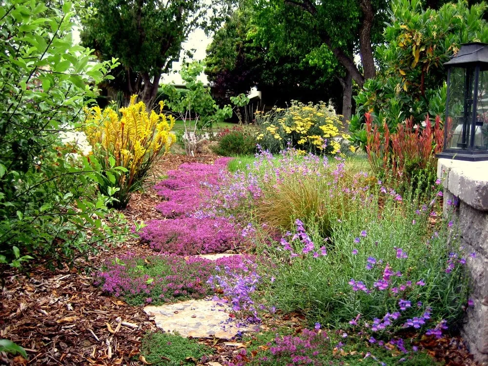 Custom yard cleanup service near you across Morro Bay, CA - Gardens by Gabriel