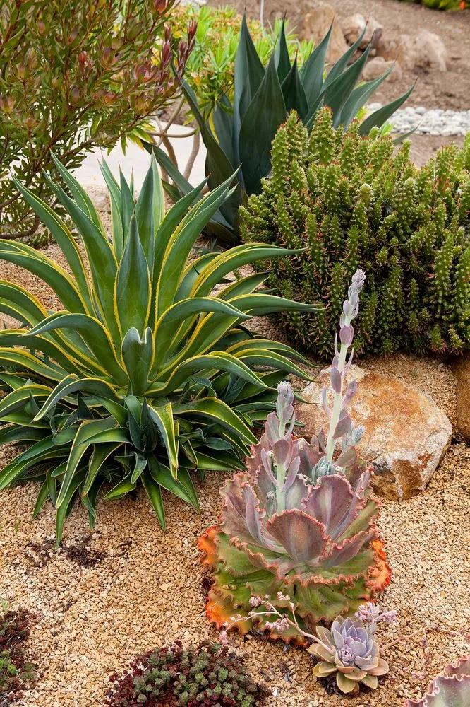 Trusted lawn mowing service in Morro Bay, CA by Gardens by Gabriel