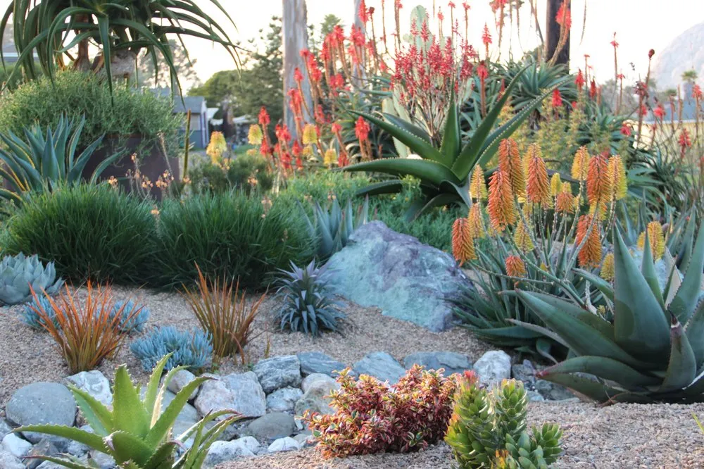 Expert yard maintenance in Morro Bay, CA by Gardens by Gabriel