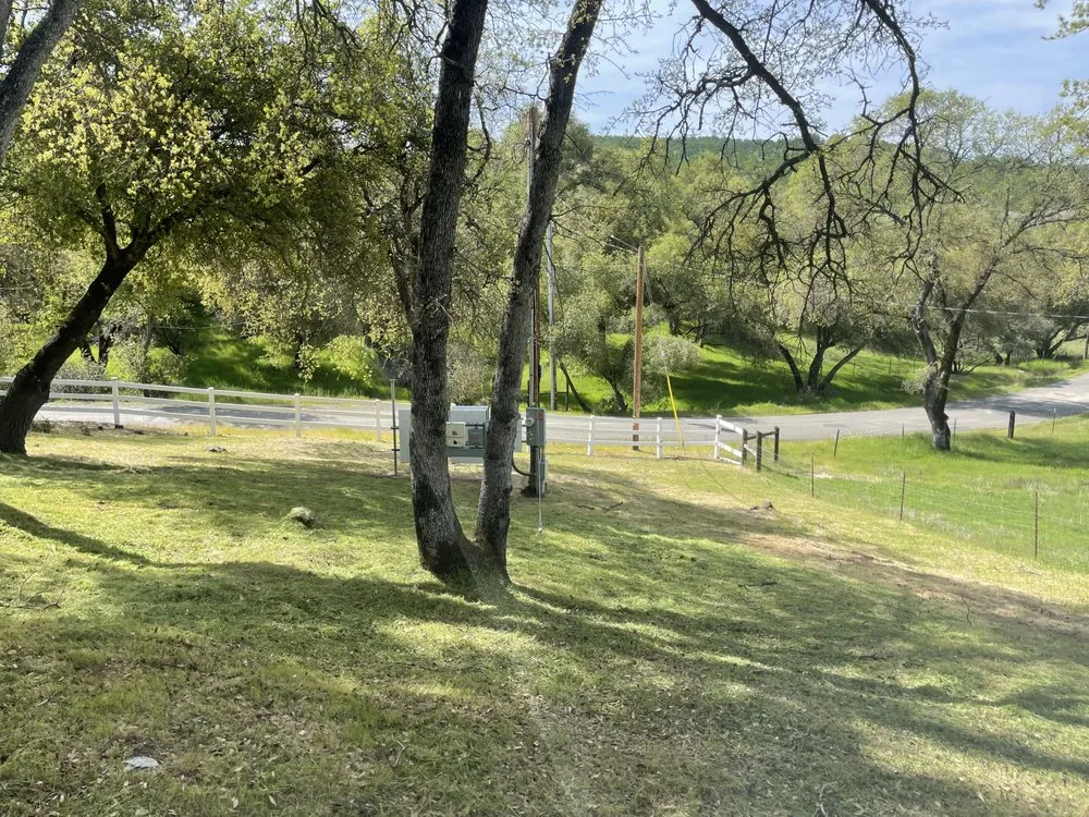 Reliable yard cleanup service experts serving Citrus Heights, CA - Gardens By Greyson