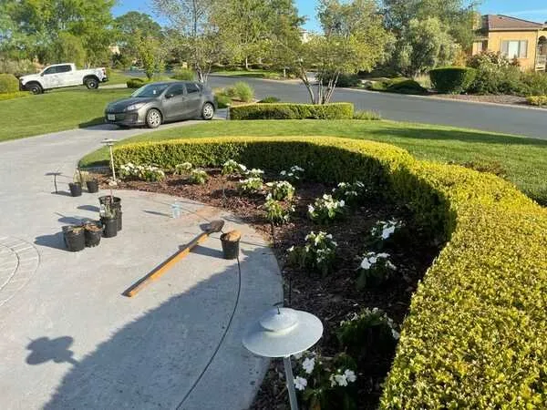 Custom landscape design for beautiful yards in Citrus Heights, CA by Gardens By Greyson