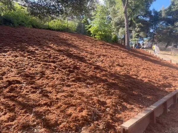 Professional landscaping services in Citrus Heights, CA by Gardens By Greyson