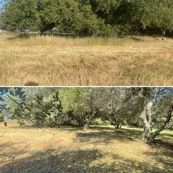 Local landscaping services near you across Citrus Heights, CA - Gardens By Greyson