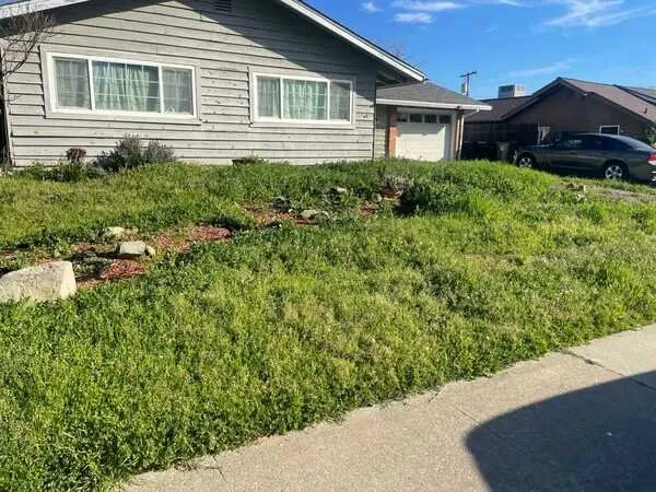 Affordable landscaping services in Citrus Heights, CA - Gardens By Greyson