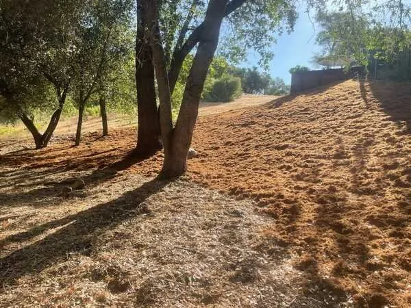 Local outdoor landscaping experts serving Citrus Heights, CA - Gardens By Greyson