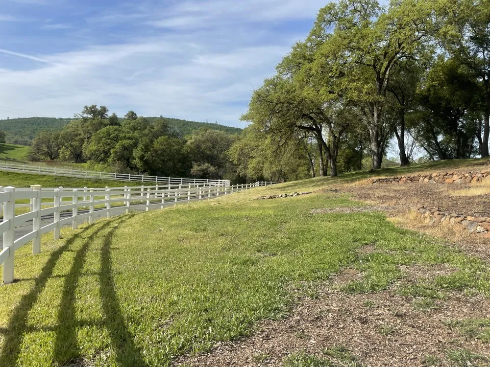 Top-rated lawn mowing service in Citrus Heights, CA - Gardens By Greyson