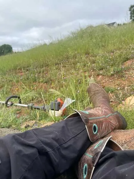 Top-rated yard maintenance in Citrus Heights, CA by Gardens By Greyson