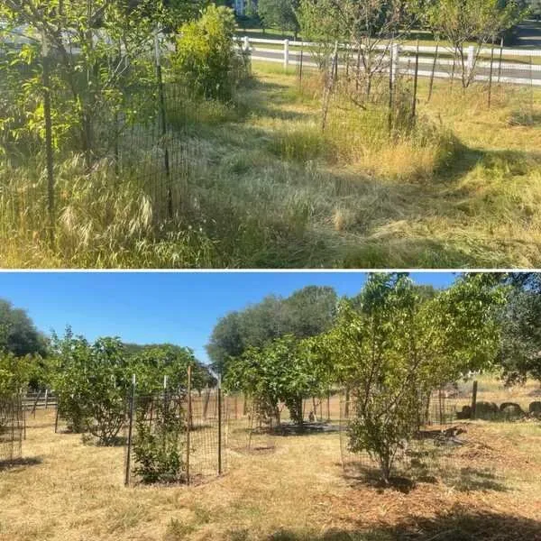 Trusted landscaping services for residential properties across Citrus Heights, CA - Gardens By Greyson