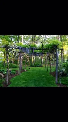 Gardens by J Tortomasi