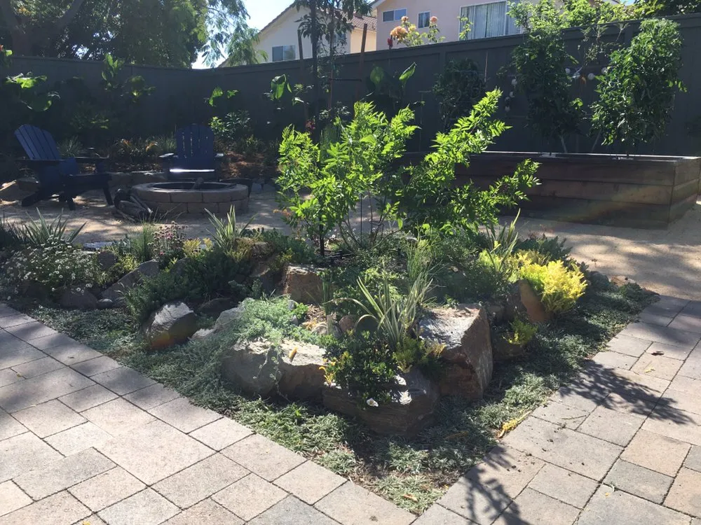 Professional yard maintenance in Temecula, CA - Gardens by Marie