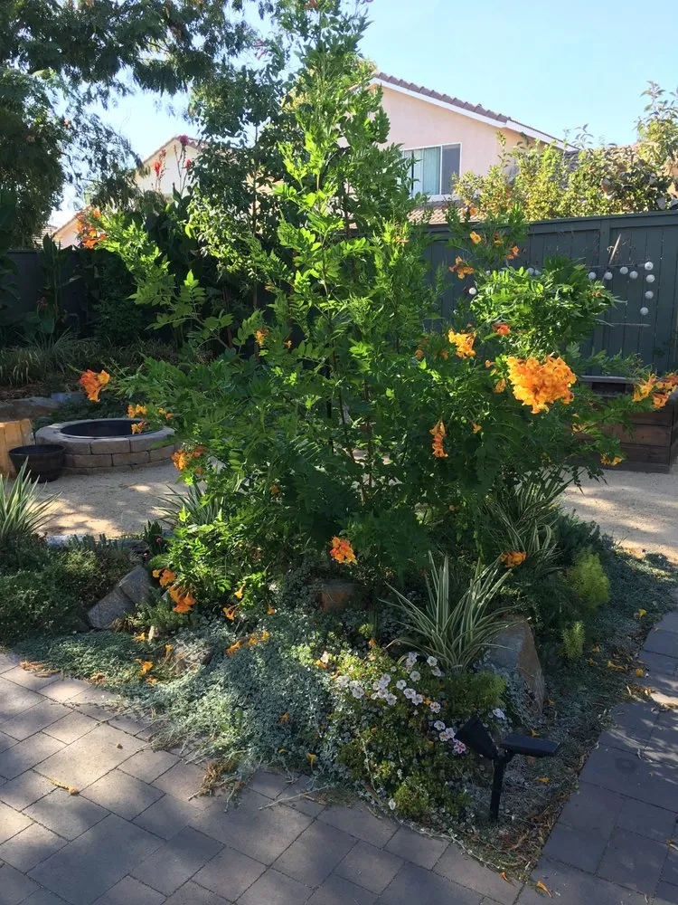 Local outdoor landscaping in Temecula, CA by Gardens by Marie
