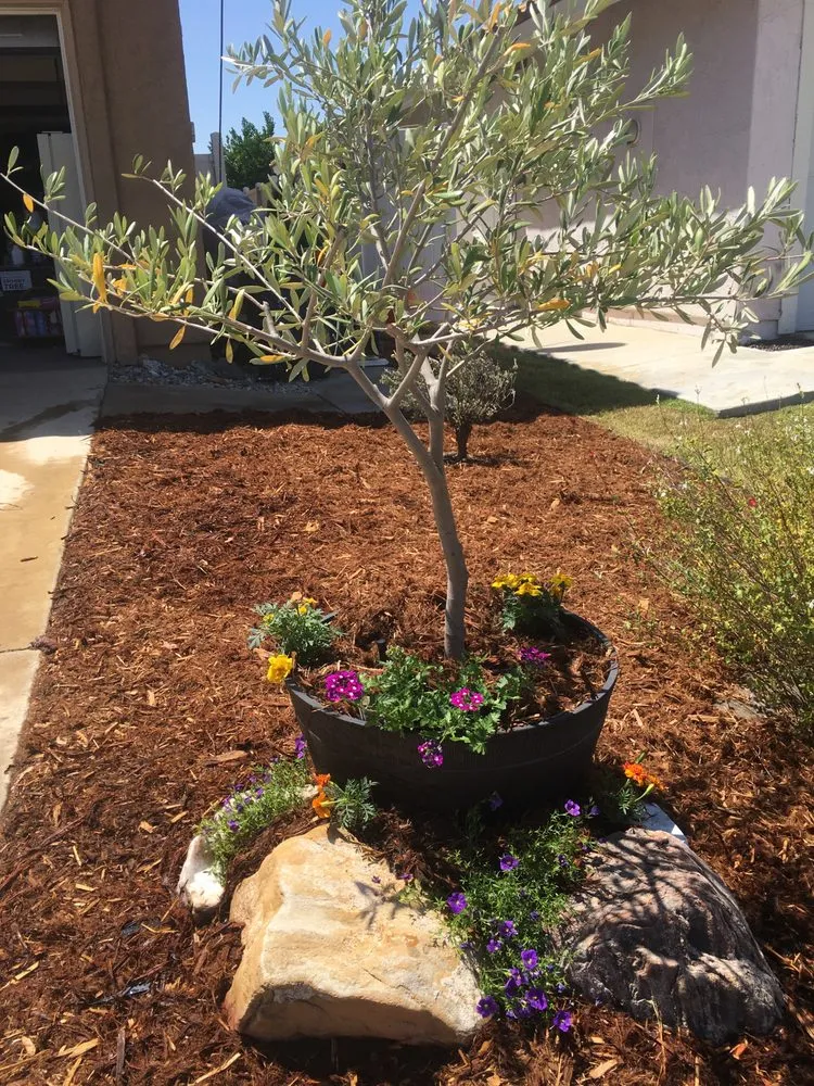 Local lawn mowing service in Temecula, CA - Gardens by Marie