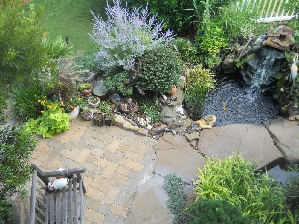 Local yard maintenance for homes in Norfolk, VA by Gardens by Oz
