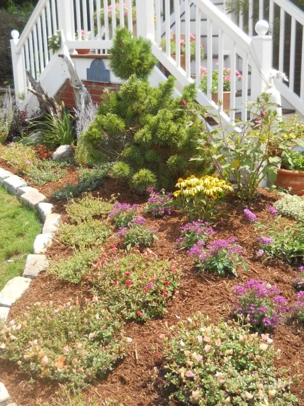 Custom landscape design in Norfolk, VA - Gardens by Oz