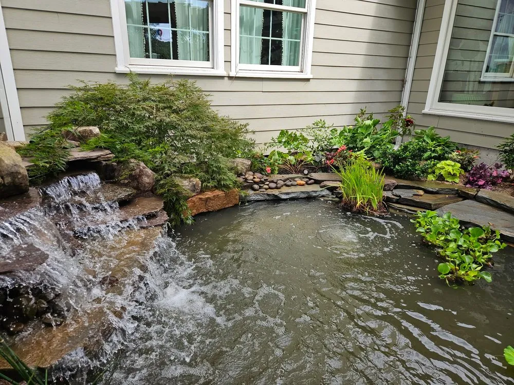 Local landscape design for year-round maintenance across Norfolk, VA - Gardens by Oz