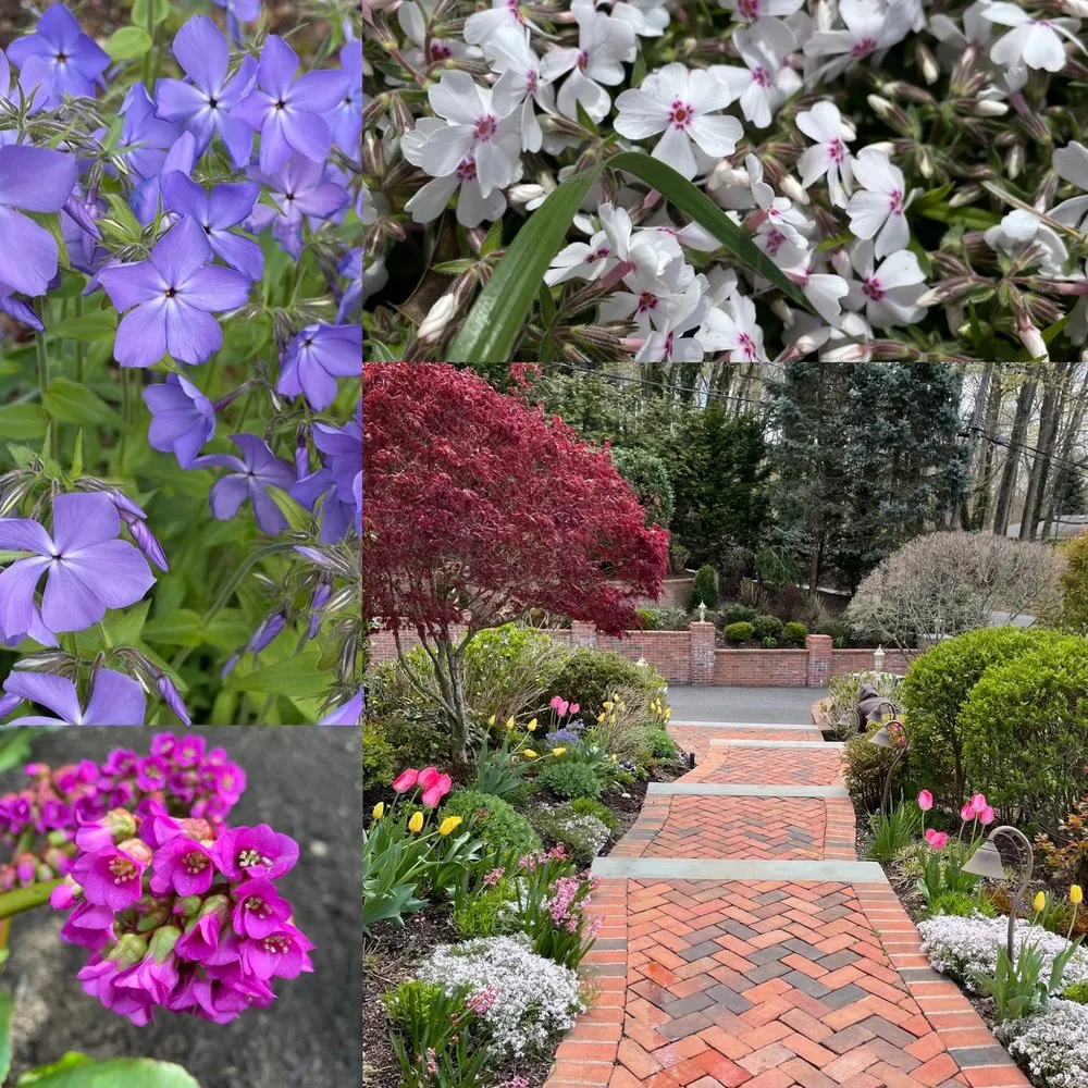 Professional yard cleanup service for year-round maintenance across Merrick, NY - Gardens By Rachel