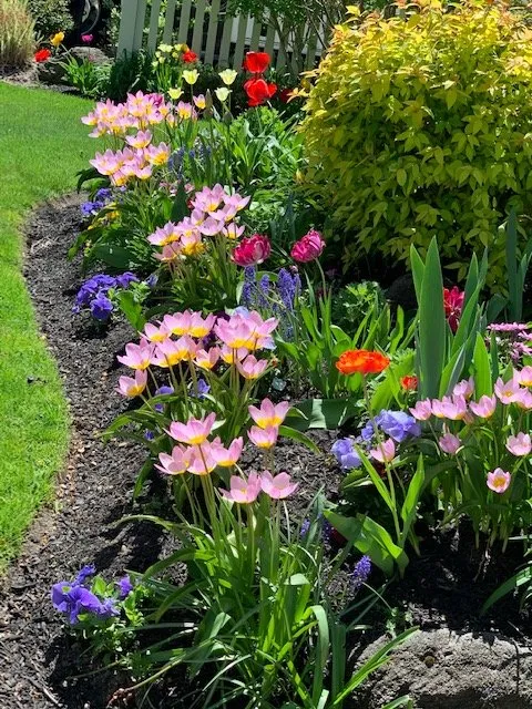 Affordable landscape installation in Merrick, NY - Gardens By Rachel