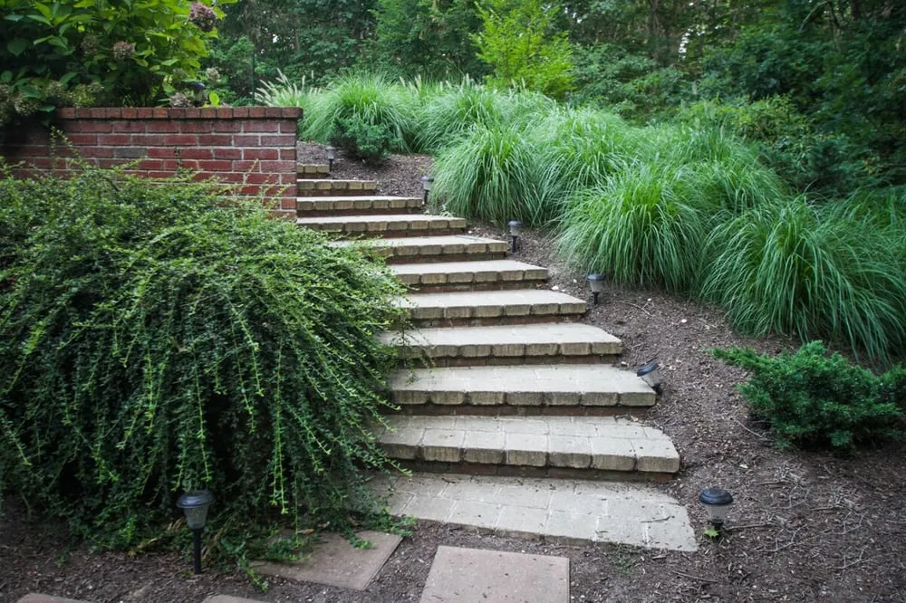 Local lawn mowing service experts serving Southampton, NY - Gardens by Romi