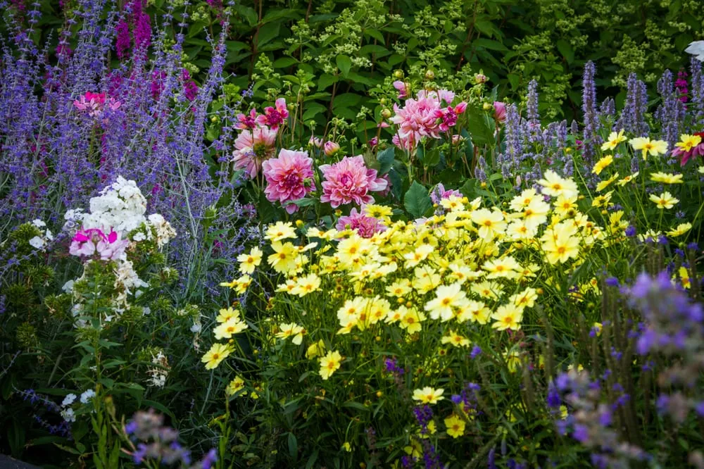 Custom lawn care service for beautiful yards in Southampton, NY by Gardens by Romi