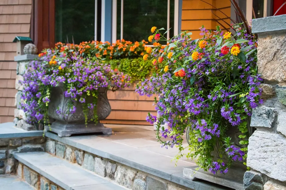 Trusted yard maintenance in Southampton, NY by Gardens by Romi