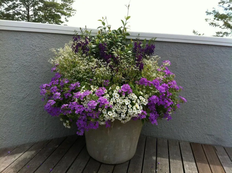 Expert yard cleanup service for homes across Southampton, NY - Gardens by Romi