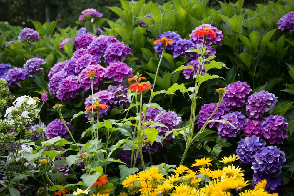 Affordable residential landscaping in Southampton, NY by Gardens by Romi