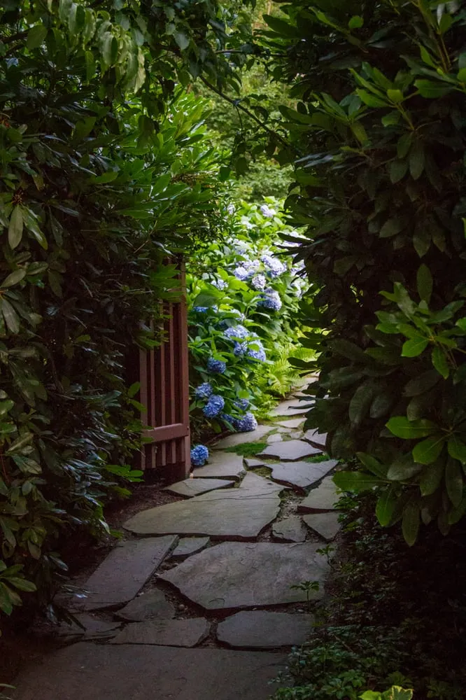 Professional landscape installation in Southampton, NY by Gardens by Romi