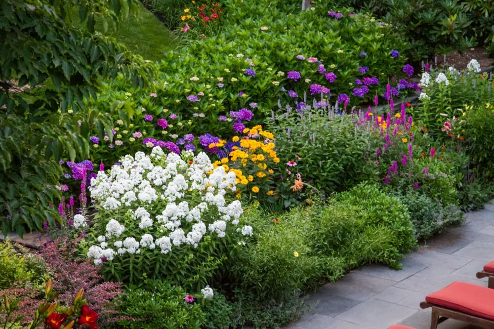 Reliable yard maintenance in Southampton, NY by Gardens by Romi