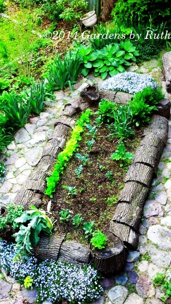 Reliable landscape installation for year-round maintenance across Somerville, MA - Gardens By Ruth