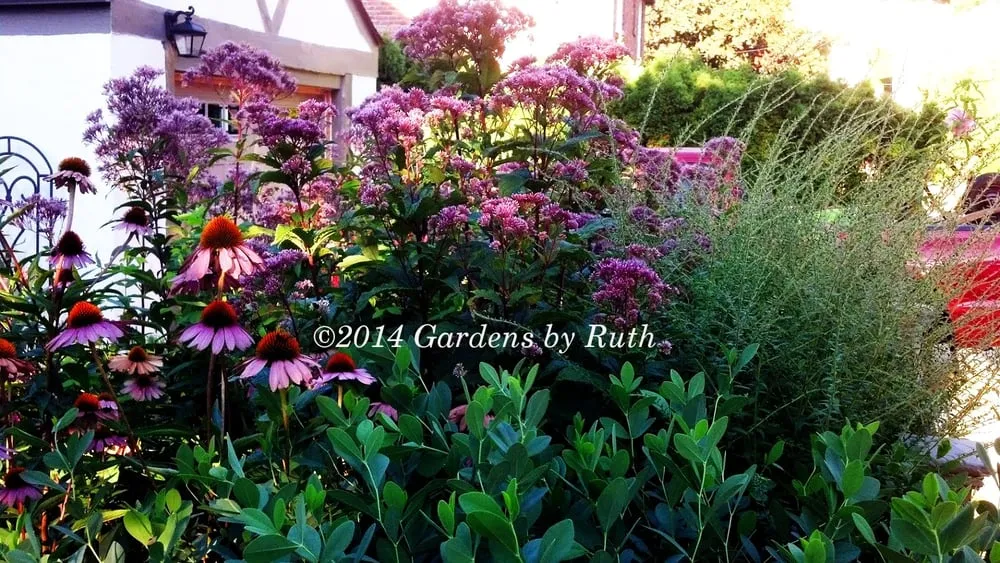 Custom lawn mowing service in Somerville, MA by Gardens By Ruth