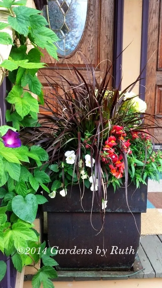 Local yard maintenance experts serving Somerville, MA - Gardens By Ruth