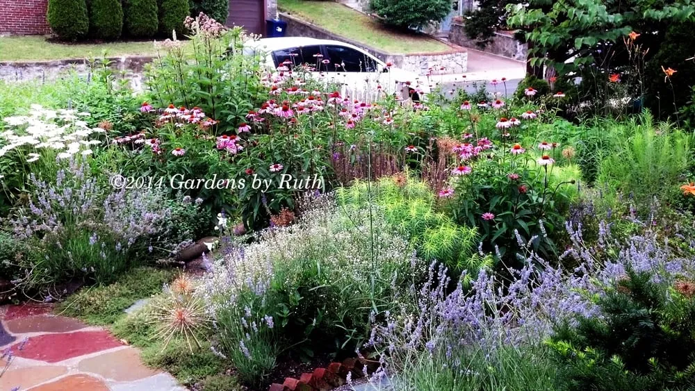 Affordable landscape design for residential properties in Somerville, MA by Gardens By Ruth